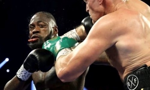 «Лучше умереть на ринге». Уайлдер угрожает тренеру, который выбросил полотенце