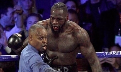 Уайлдер сделал заявление о судьбе тренера, выбросившего полотенце в реванше с Фьюри