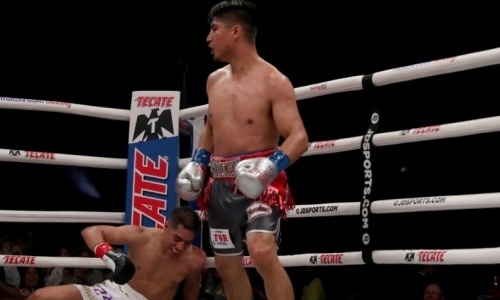 Гарсия отправил Варгаса в нокдаун и выиграл титул чемпиона WBC. Видео