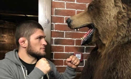 «В детстве я не смог провести приём против медведя». Хабиб Нурмагомедов высказался об отношении к животным