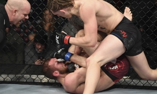 Американский файтер UFC зверски забил британца в партере. Видео нокаута