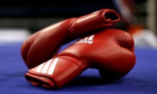 Фантастическими назвал бои с участием казахстанских боксеров Олимпийский комитет Иордании