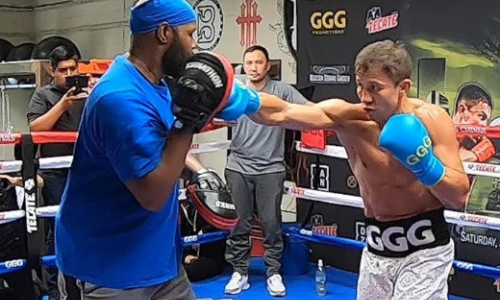 Неспособность Головкина выполнять здравые инструкции нового тренера привела к последствиям