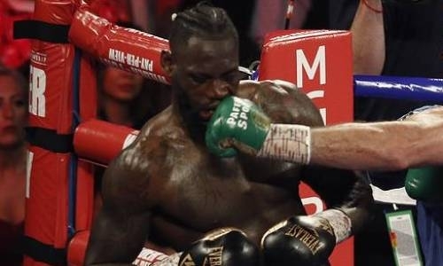 «Нокаутирует за одну минуту». Назван боксер, который размажет Деонтея Уайлдера