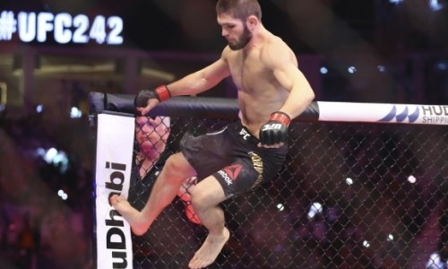 В UFC назвали ориентировочные даты следующего боя Хабиба Нурмагомедова