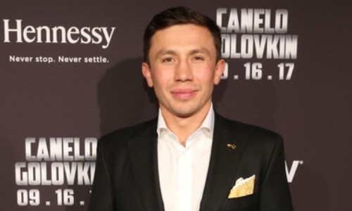 Геннадий Головкин обратился к зарубежному журналисту после интервью