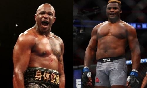 «Я бы провел боксерский бой». Нокаутер из UFC ответил на дерзкий вызов чемпиона WBC в тяжелом весе