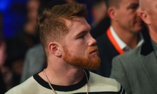 «Канело» раскритиковали за бой с Сондерсом и выбрали пять других соперников