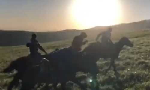 Айдос Ербосынулы почтил память казахских воинов игрой в кокпар. Видео