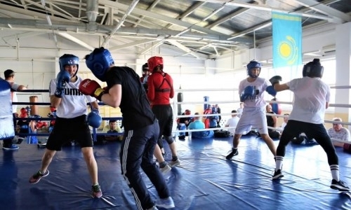 Женская сборная Казахстана по боксу прибыла на УТС