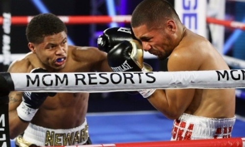 Шакур Стивенсон — Феликс Карабальо: видео полного боя с нокаутом 