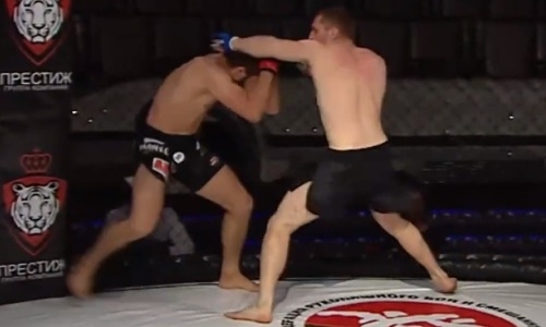 Спарринг-партнера Хабиба Нурмагомедова нокаутировали серией пушечных ударов за 18 секунд. Видео
