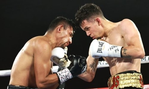 Американский боксер ярко забил и заставил сдаться опытного соперника. Видео