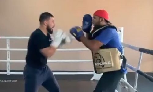 Садриддин Ахмедов показал скоростные комбинации ударов на тренировке. Видео