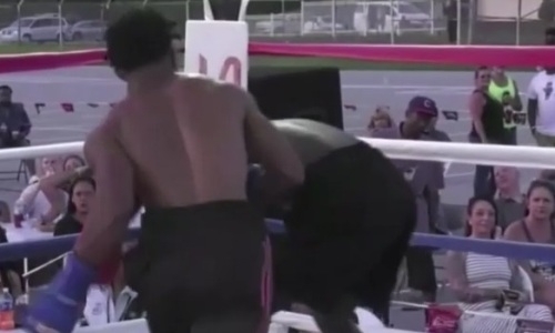 Американский боксер избил уже висящего на канатах дебютанта. Видео нокаута