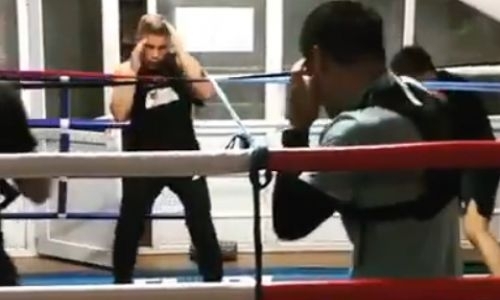 Казахстанские боксеры продолжают подготовку к возвращению на ринг. Видео