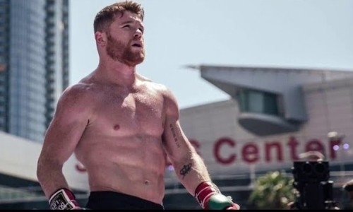 Представитель команды Мэйвезера назвал боксеров, которые побьют «Канело»