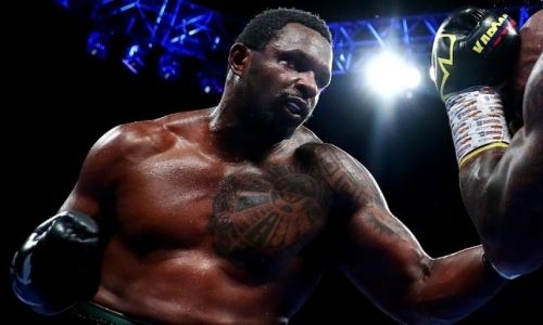 Уайта изолировали от Поветкина и поселили в доме на колесах. Видео