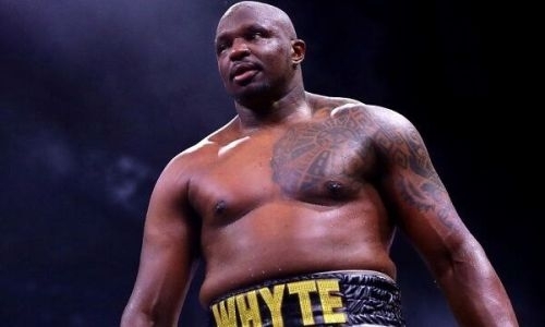 «Поветкин выбросил один из лучших ударов в своей карьере». Уайт назвал свой нокаут ошибкой