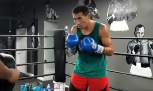 Жанибек Алимханулы блеснул скоростью ударов на тренировке. Видео