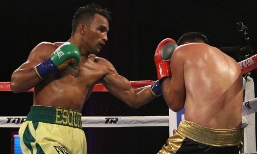 Нокаутер с 27 победами в профи рассказал о подготовке к бою с Головкиным