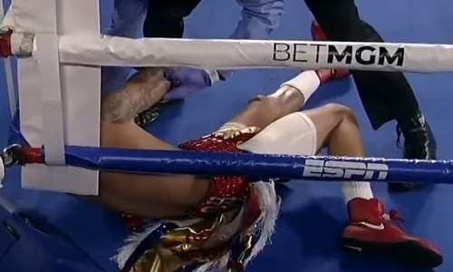 В боксе появился новый претендент на нокаут года. Видео