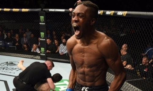 Преодолел свой страх. Боец UFC пришел на взвешивание с живым тарантулом. Видео