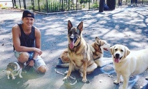 «Люди утверждают, что им нужна помощь больше, чем собакам». Казахстанский боксер-полицейский из Нью-Йорка ответил на критику