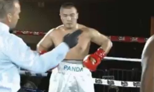 Казахстанский нокаутер-тяжеловес получил бой против соперника с 11 победами после завоевания титула