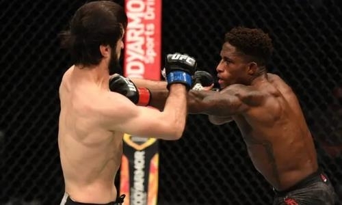 Обидчик Хамитова из команды Хабиба проиграл на турнире UFC 253 после провального взвешивания. Видео