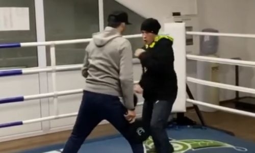 Непобежденный казахстанский боксер показал скорость реакции перед защитой титула WBC. Видео