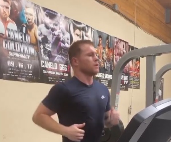 «Канело» провел тренировку «в компании» с Головкиным и показал впечатляющую форму. Фото