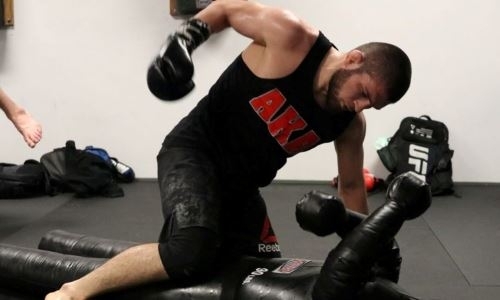 Хабиб Нурмагомедов показал, как тренирует добивания. Фото