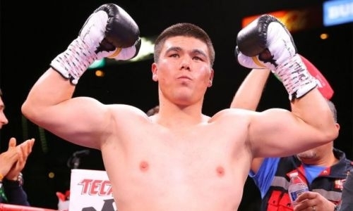 «Больше, чем просто панчер». В США нашли «нового Головкина» из Узбекистана