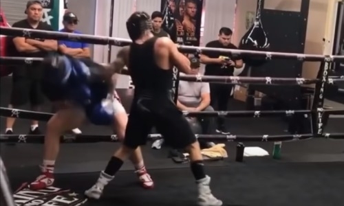 Готовится к ударам Головкина? Экс-чемпион мира проверил защиту «Канело» на спарринге. Видео