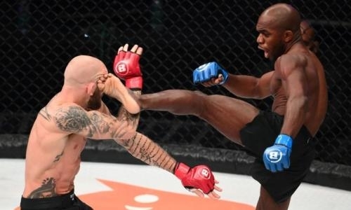 «Летящее колено из ниоткуда». Боец дебютировал в Bellator безумным нокаутом. Видео