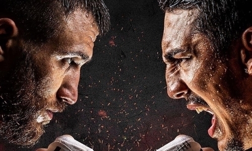 Полный разгром. 20 экспертов The Ring дали свои прогнозы на исход боя Ломаченко — Лопес