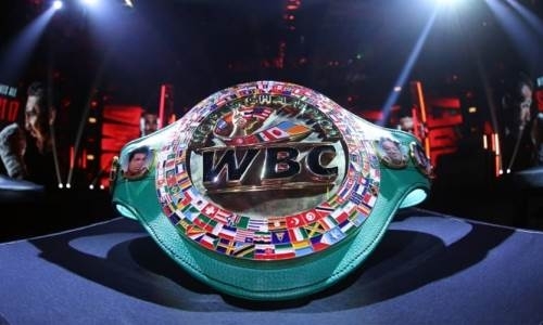Президент WBC объявил о создании нового дивизиона в боксе