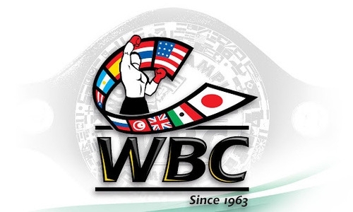 Казахстанские боксеры узнали свои места в обновленном рейтинге WBC