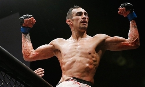 «У тебя нет яиц, чтобы драться с топ-претендентами». Фергюсон обвинил Макгрегора в трусости