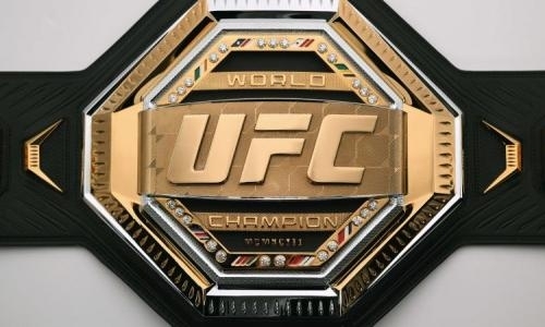 Определен лучший боец UFC в рейтинге «мощности». Хабиб стал вторым