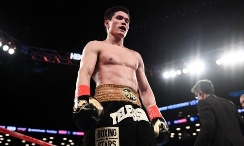 «У него есть всё, чтобы стать звездой бокса», или Когда Данияр Елеусинов будет бить чемпионов мира