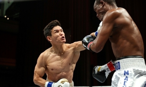 «Острый как бритва». Данияр Елеусинов сделал важное заявление победой над экс-чемпионом мира