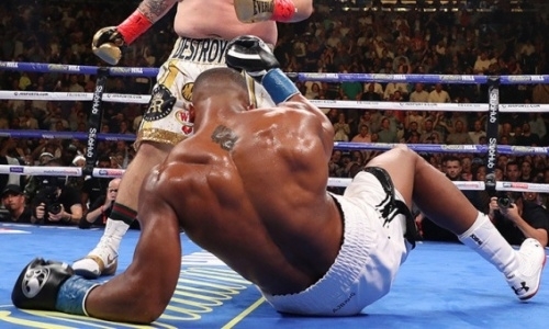 «Даже не поймёт, что происходит». Назван боец UFC, который может нокаутировать Энтони Джошуа