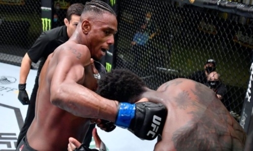 Бой в UFC закончился нокаутом фаворита с 25 победами. Видео