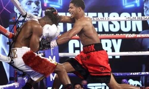 Тотальное доминирование. Шакур Стивенсон уничтожил своего второго соперника в новом весе. Видео