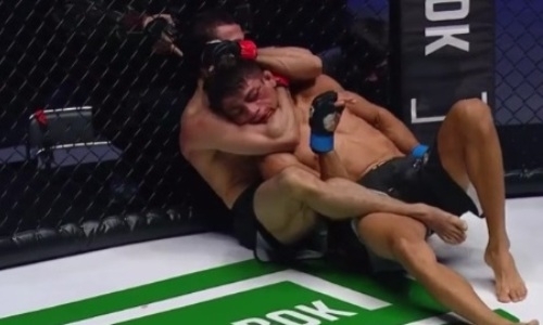 Российский файтер «усыпил» бразильца в андеркарде боя Исмаилов — Штырков. Видео
