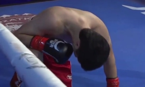Видео нокаута, или Как казахстанец Шарибаев по-быстрому финишировал узбека