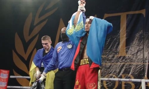 Чемпион WBC из Казахстана избил и отправил в нокдаун украинского боксера