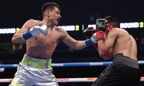 Убойным нокаутом после мощных «выстрелов» по всему телу завершился бой в андеркарде «Канело». Видео